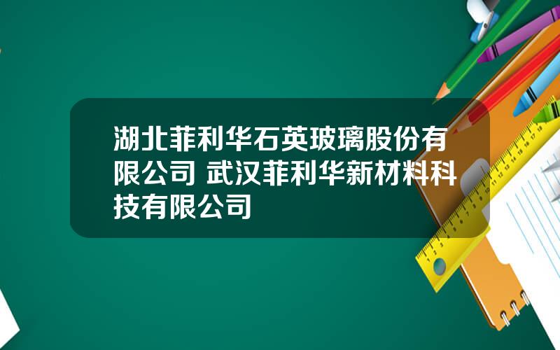 湖北菲利华石英玻璃股份有限公司 武汉菲利华新材料科技有限公司
